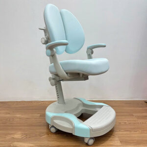Ghế Chống Gù Cao Cấp CG-002